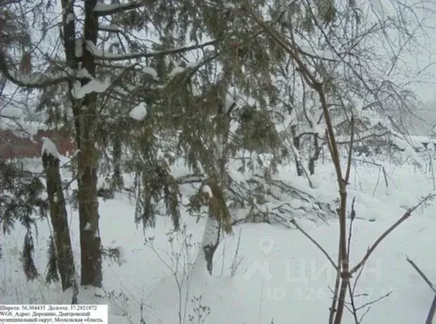 Участок в Московская область, Дмитровский муниципальный округ, д. ... - Фото 1