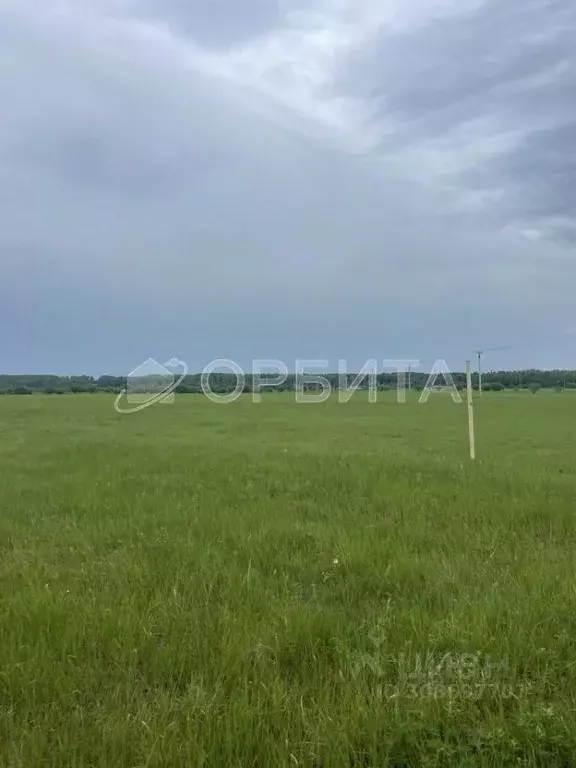 Участок в Тюменская область, Тюменский район, д. Коняшина  (9.62 сот.) - Фото 0