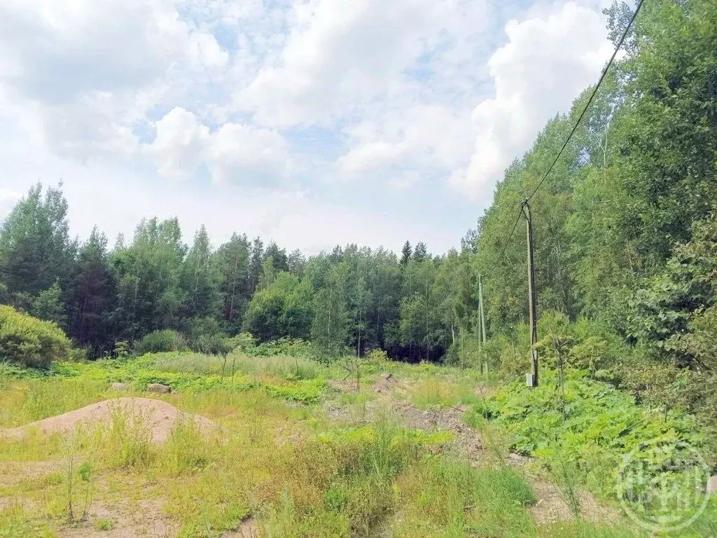 Участок, 15 сот., поселения (ижс) - Фото 0