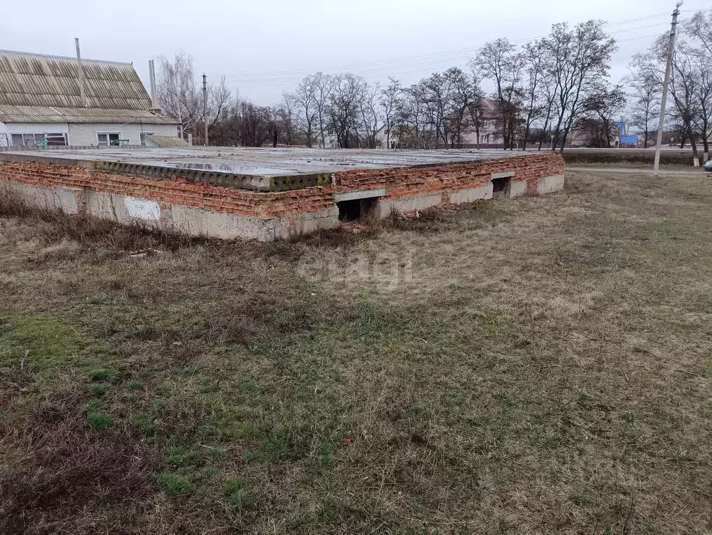 Участок в Белгородская область, Вейделевка рп ул. Центральная (15.0 ... - Фото 0