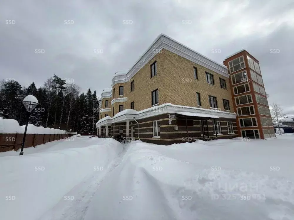 Помещение свободного назначения в Московская область, Ивантеевка ... - Фото 1