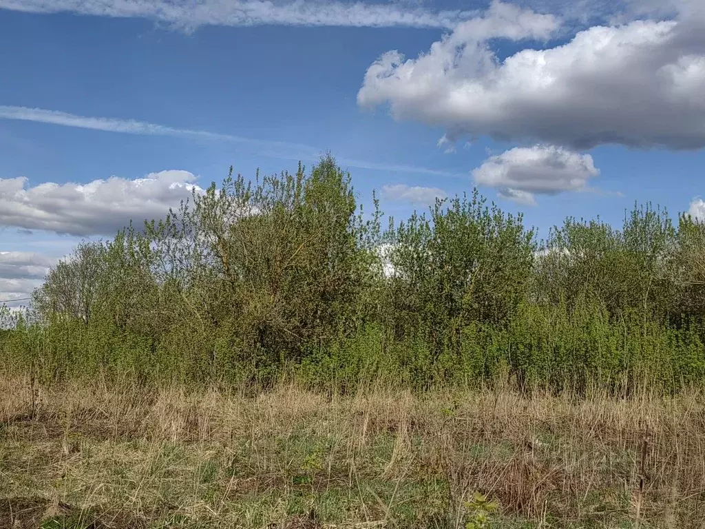 Участок в Московская область, Клин городской округ, д. Вельмогово  ... - Фото 1