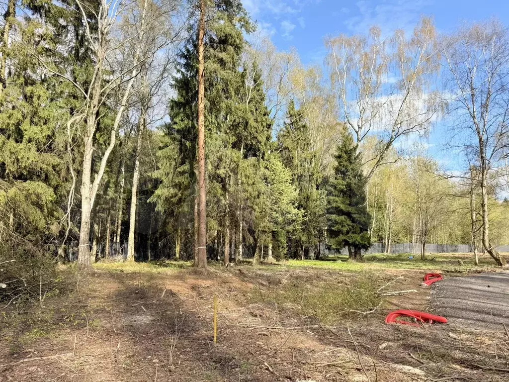 Участок 8 сот. (СНТ, ДНП) - Фото 1