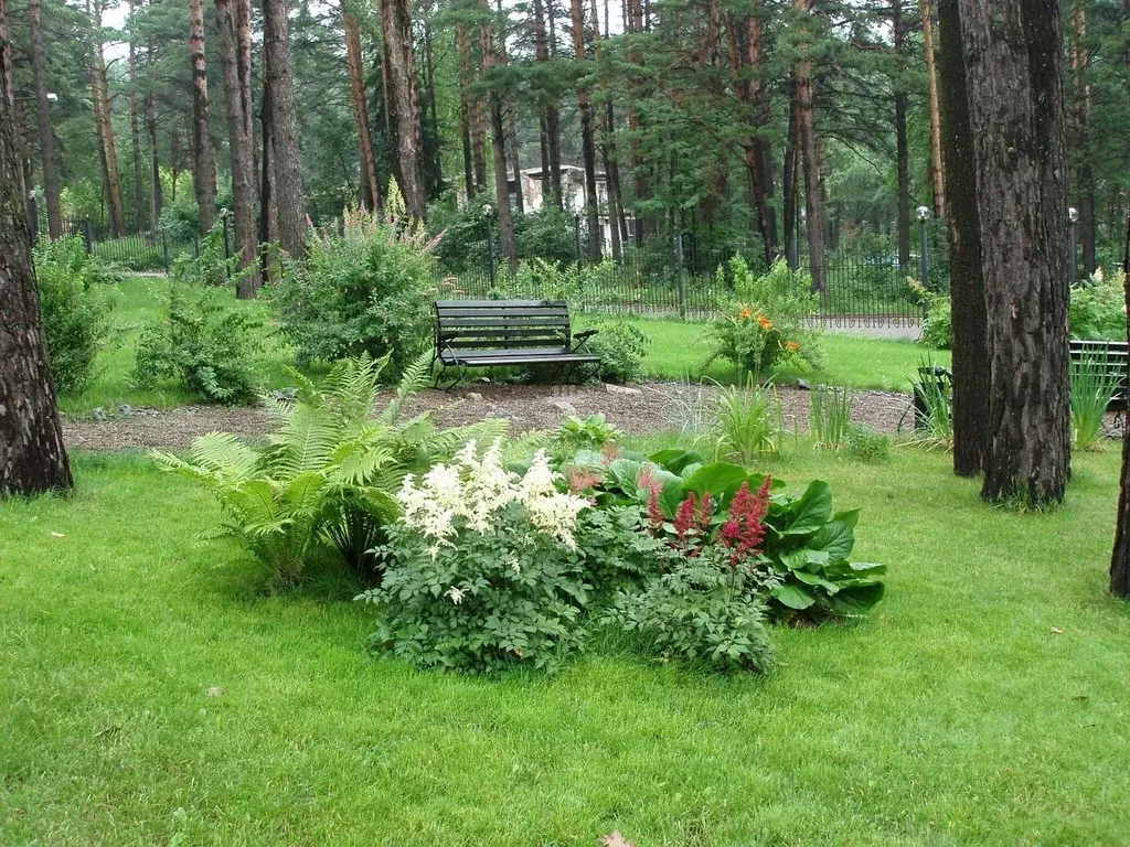 Участок в Челябинская область, Сосновский район, Кременкульское с/пос, ... - Фото 0