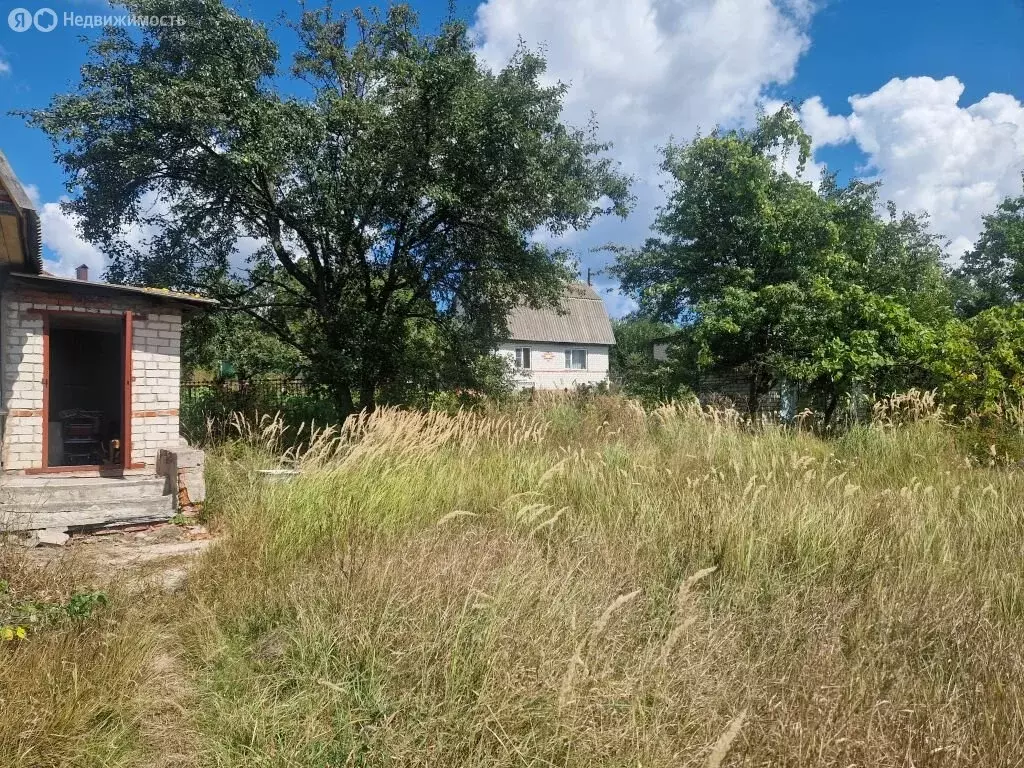 Дом в Курский район, Моковский сельсовет, СНТ Сосновый бор, 95 (30 м) - Фото 2