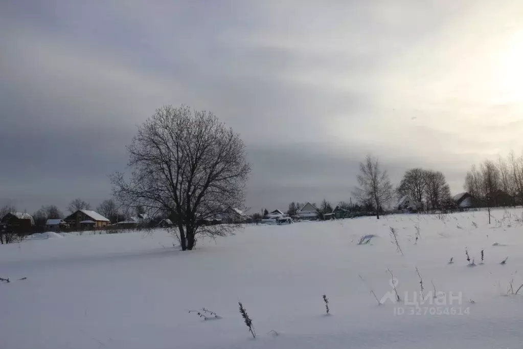 Участок в Московская область, Шаховская муниципальный округ, д. ... - Фото 1