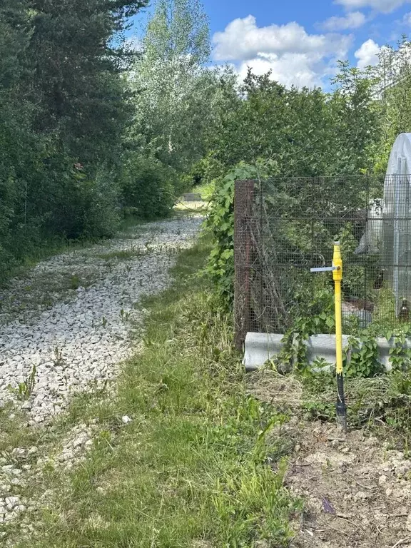 Участок в Ленинградская область, Ломоносовский район, Ропшинское ... - Фото 0