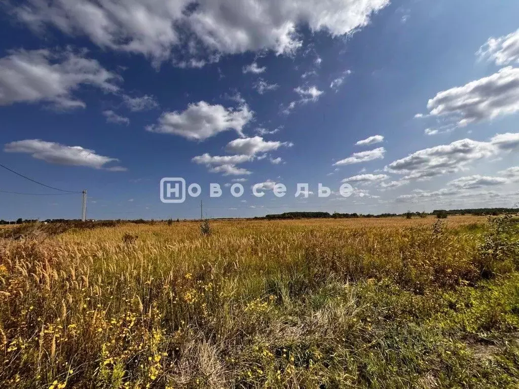 Участок в Рязанская область, Рязанский район, Дубровическое с/пос, с. ... - Фото 0