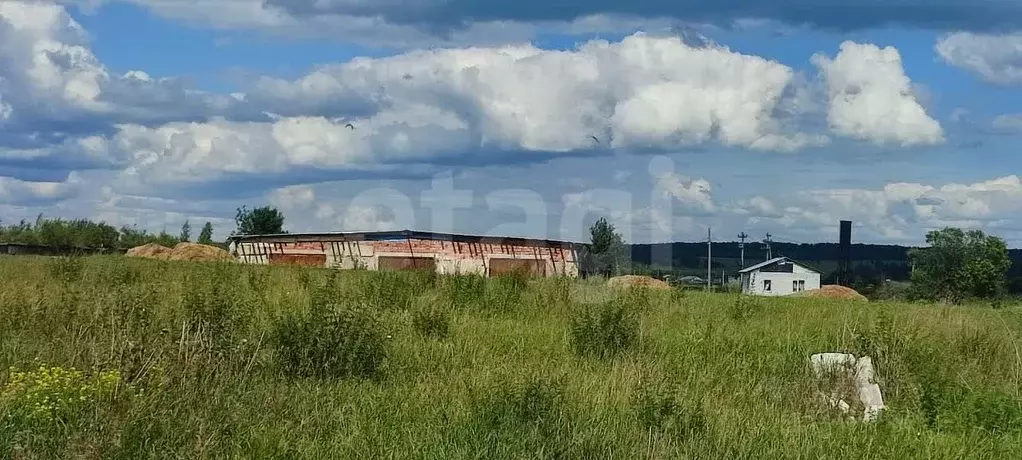 Участок в Новосибирская область, Искитимский район, Шибковский ... - Фото 1