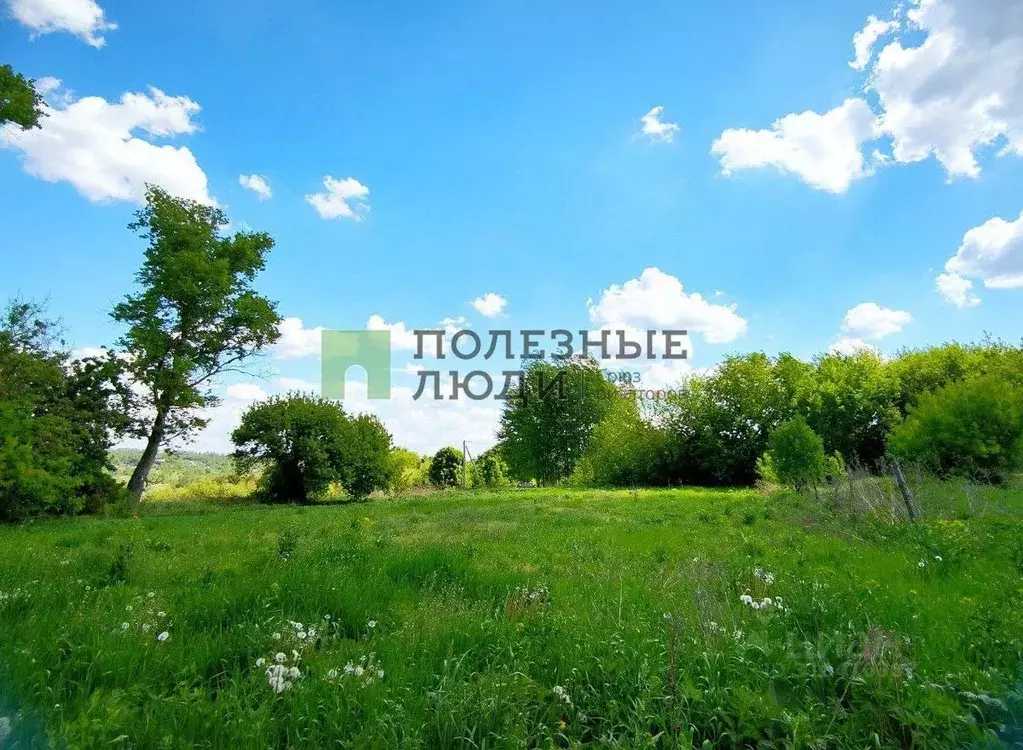 Участок в Орловская область, Орловский район, д. Паньково (Неполодское ... - Фото 0