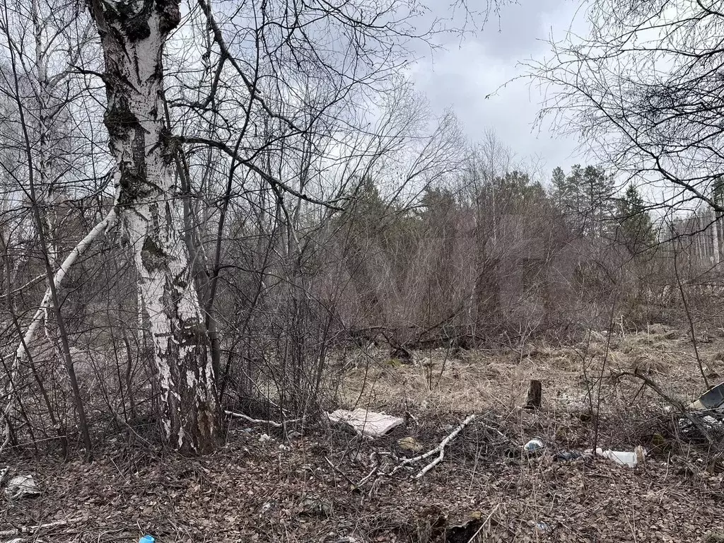 Участок 15 сот. (ИЖС) - Фото 1