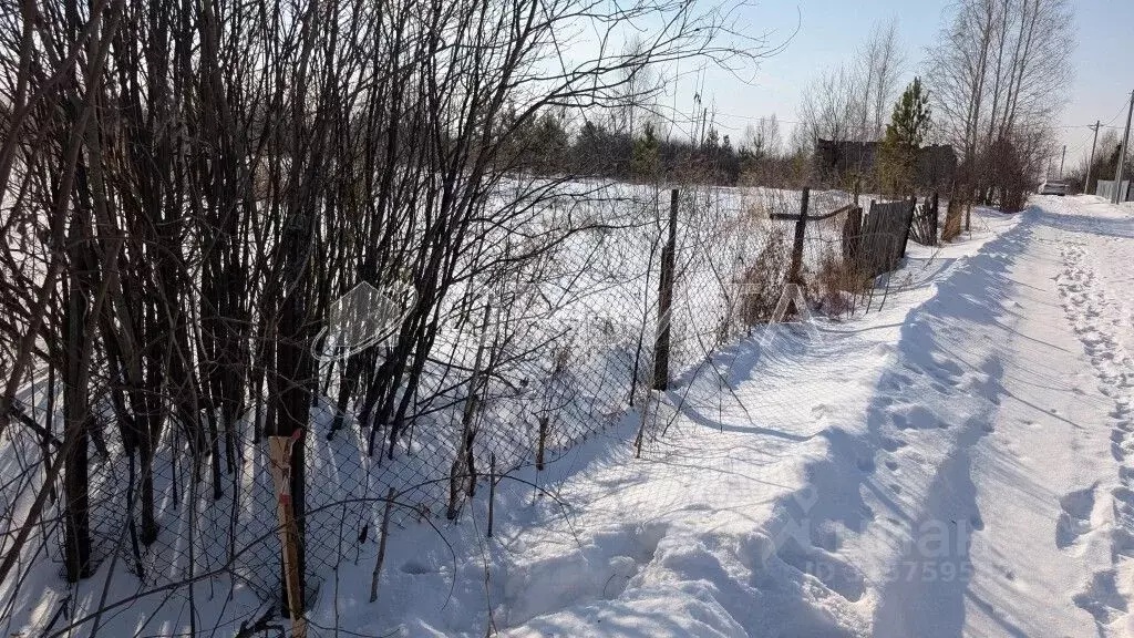 Участок в Тюменская область, Тюменский район, СО Надежда ТСН  (10.0 ... - Фото 2