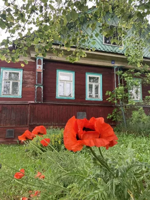 Дом в Ивановская область, Пучежский район, с. Илья-Высоково Лесная ... - Фото 0