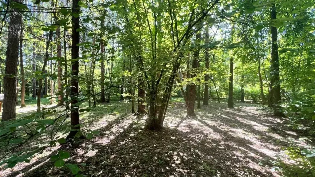 Участок в Московская область, Одинцовский городской округ, д. Бузаево, ... - Фото 1