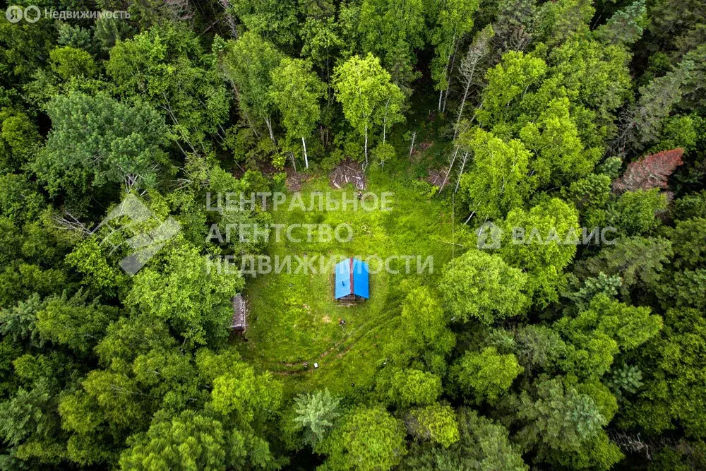 Участок в Алексеевское сельское поселение, село Константиново (3700 м) - Фото 0