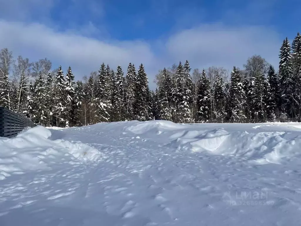 Участок в Московская область, Клин городской округ, Вельга Парк кп ул. ... - Фото 2