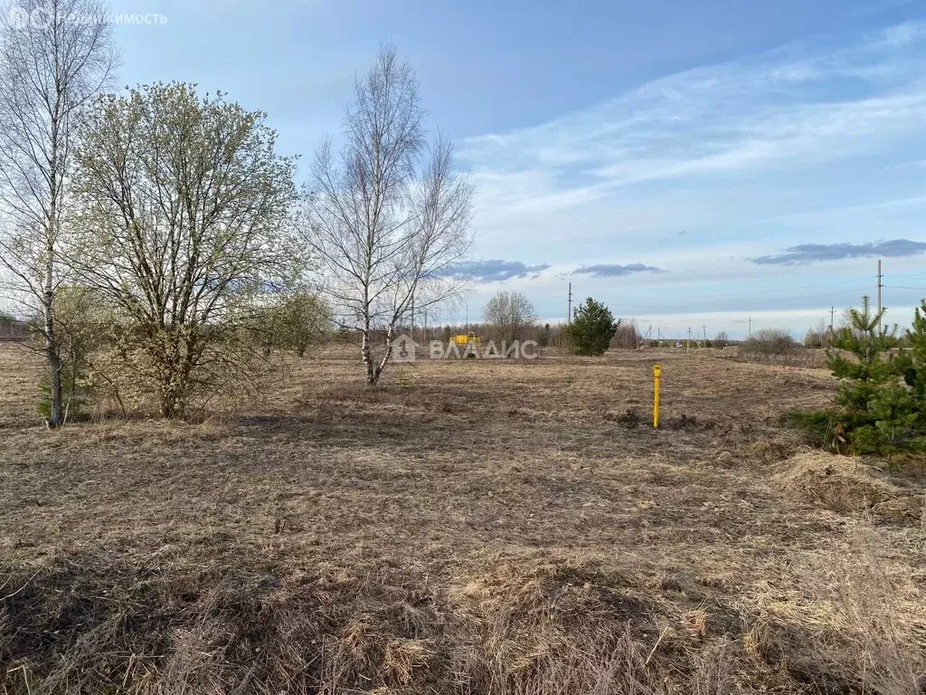 Участок в Владимирская область, Ковровский муниципальный округ, село ... - Фото 1