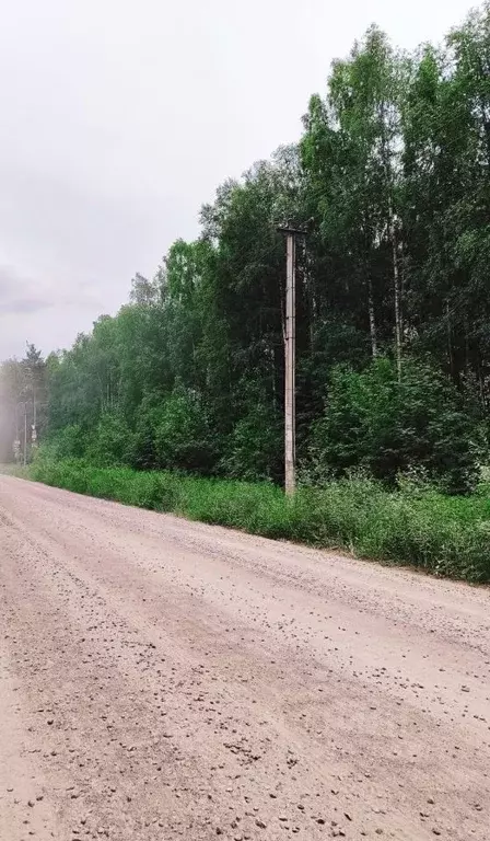 Участок в Ленинградская область, Всеволожское городское поселение, ... - Фото 0