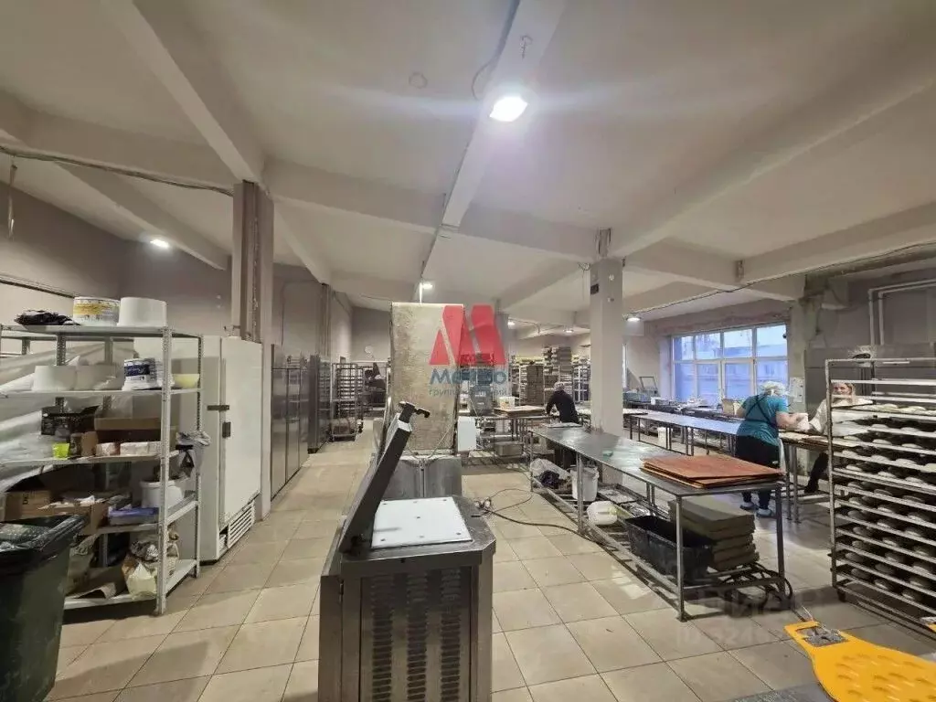 Помещение свободного назначения в Ярославская область, Ярославль ул. ... - Фото 1