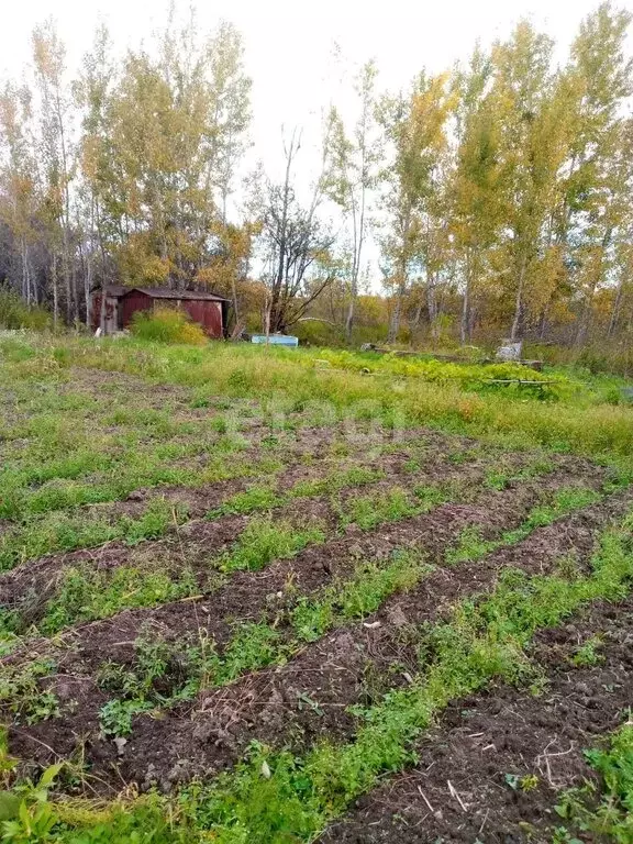 Дом в Комсомольский район, СНТ Рябинка (8 м) - Фото 0