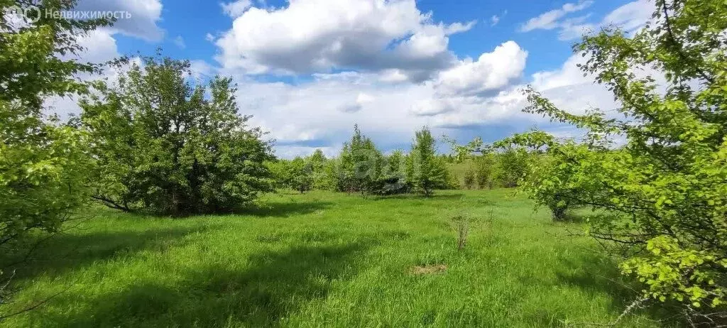Участок в Рамонский район, Русскогвоздёвское сельское поселение, село ... - Фото 0