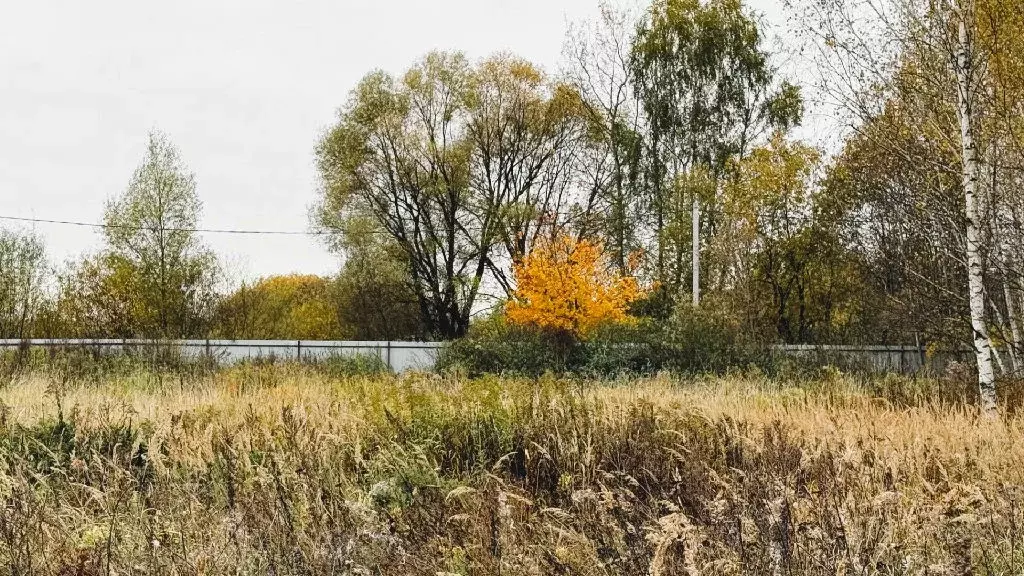 Продается участок в д. Поповка - Фото 2