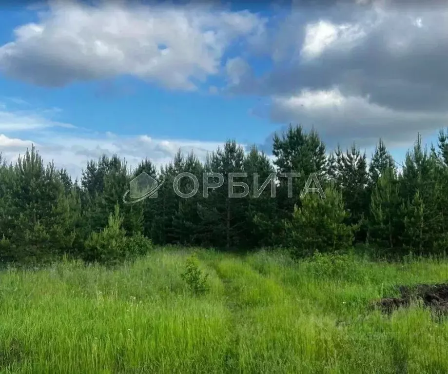 Участок в Тюменская область, Тюменский район, с. Княжево  (9.0 сот.) - Фото 2