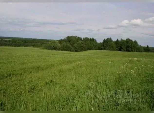 Участок в Московская область, Раменский городской округ, Гжельское ... - Фото 1