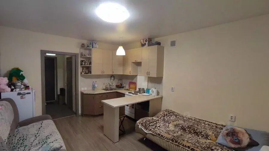 Студия Новосибирская область, Новосибирск Стрижи мкр, 11 (24.1 м) - Фото 2