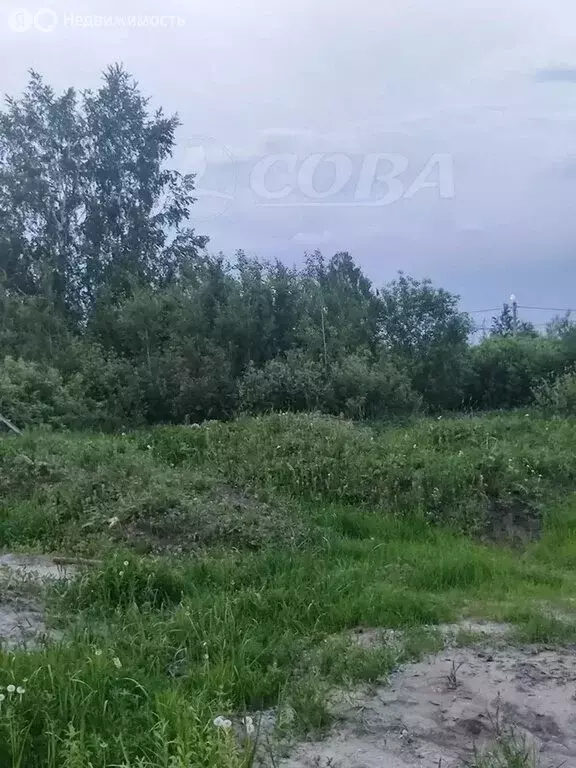 Участок в Червишевское муниципальное образование (8 м) - Фото 0