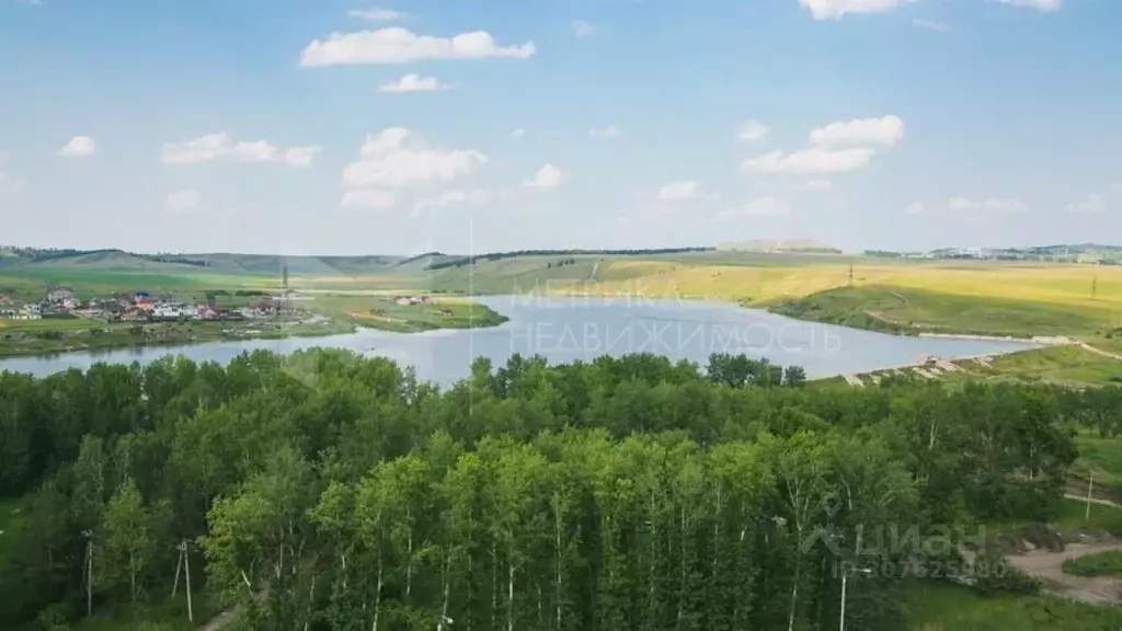 Участок в Тюменская область, Исетский район, с. Минино Береговая ул. ... - Фото 1