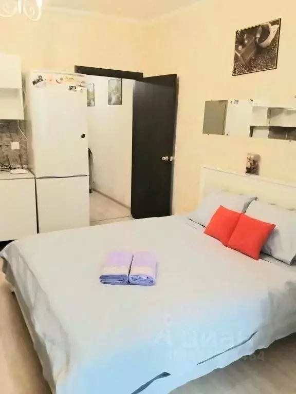 1-к кв. Московская область, Щелково Щелково-3 мкр, ул. Радиоцентра № ... - Фото 1