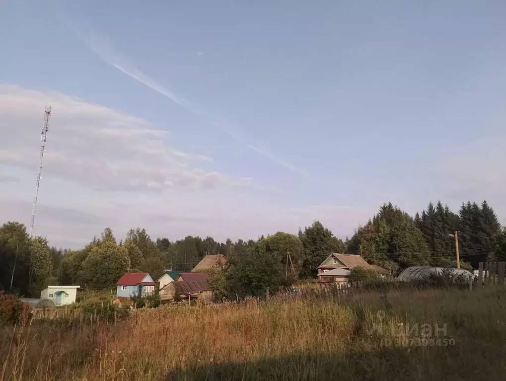 Дом в Новгородская область, Окуловский район, Березовикское с/пос, д. ... - Фото 0