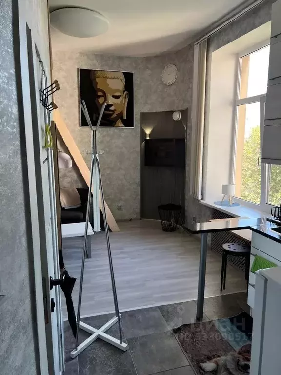 1-к кв. Ленинградская область, Выборг Ленинградское ш., 15 (25.0 м) - Фото 1