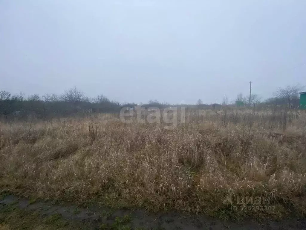 Участок в Белгородская область, Белгородский район, Бессоновское ... - Фото 1