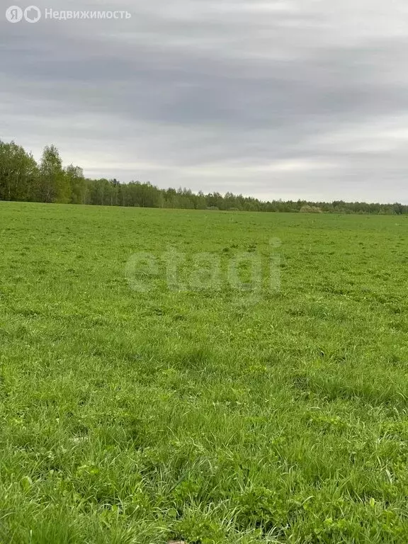 Участок в Кондрово, улица Кирова (12.9 м) - Фото 2