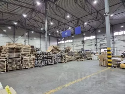 Склад в Санкт-Петербург пос. Шушары, проезд 1-й Бадаевский, 11 (2600 ... - Фото 2