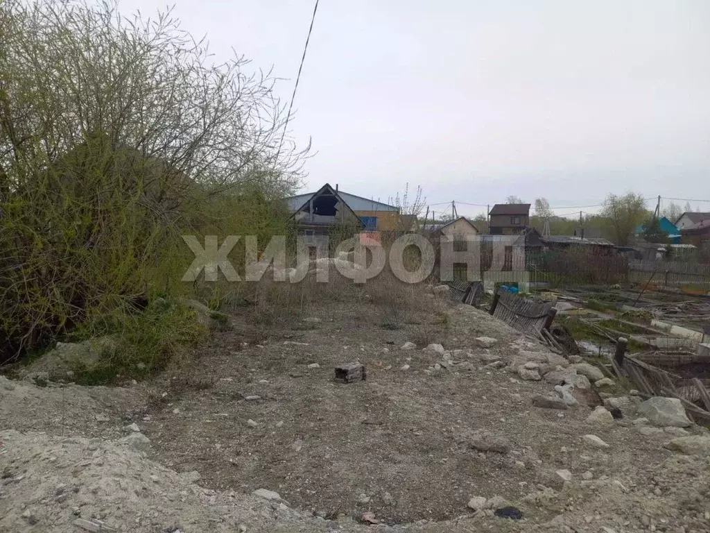 Участок в Новосибирская область, Новосибирск Лилия СНТ, 716 (2.92 ... - Фото 2