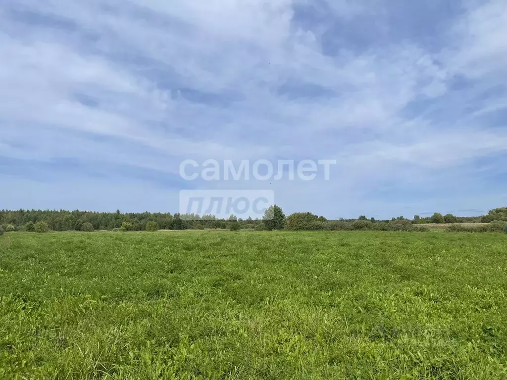 Участок в Владимирская область, Судогодский район, д. Загорье  (23.45 ... - Фото 0