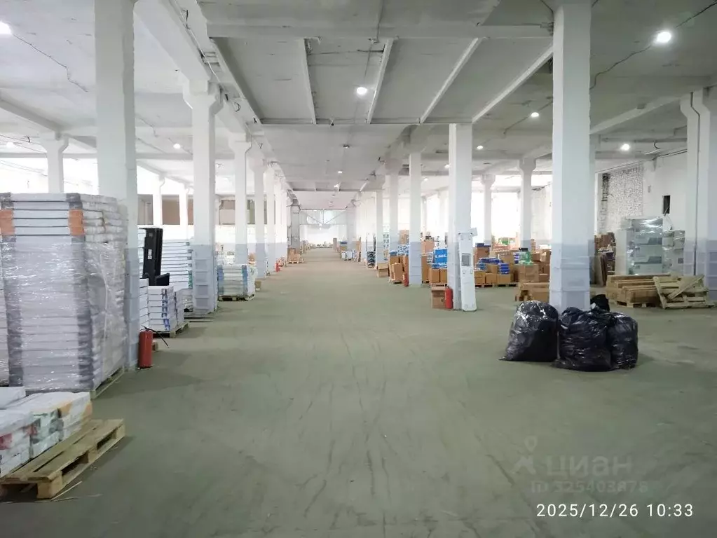 Склад в Московская область, Ногинск Богородский городской округ, ул. ... - Фото 1