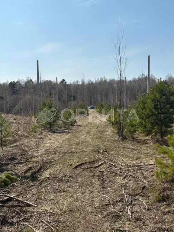 Участок в Тюменская область, Нижнетавдинский муниципальный округ, д. ... - Фото 2