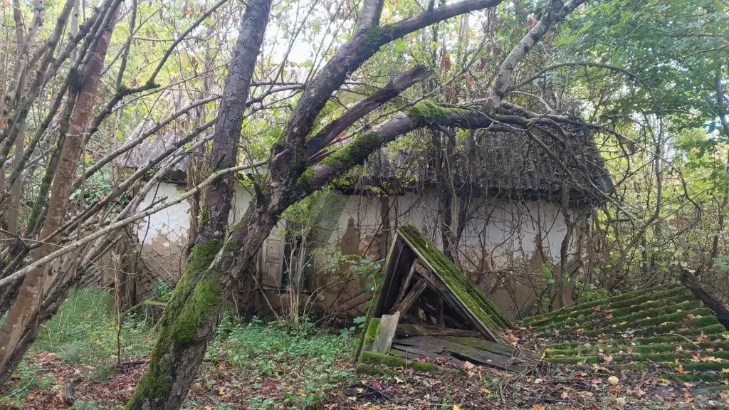 Дом в Краснодарский край, Апшеронский район, Куринское с/пос, пос. ... - Фото 2