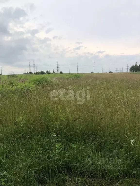 Участок в Брянская область, Брянский район, с. Глинищево ул. ... - Фото 1