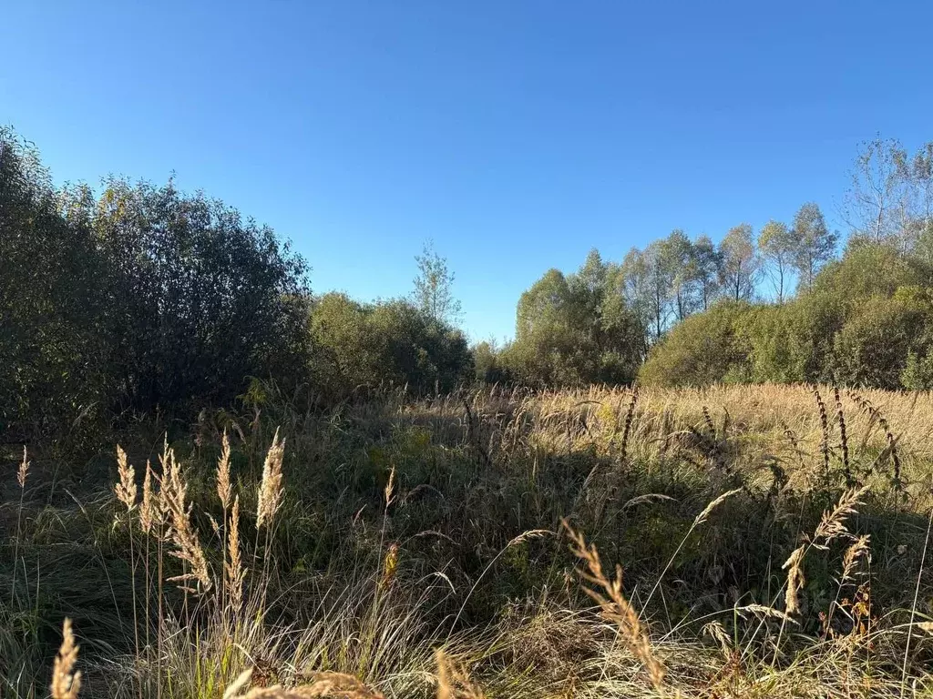 Участок в Московская область, Воскресенск городской округ, Имени ... - Фото 1