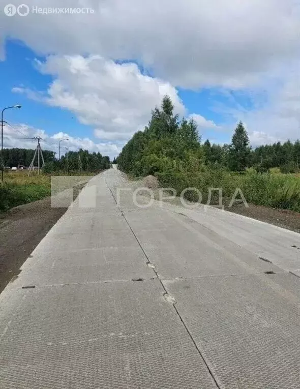 Участок в Новосибирск, СНТ Озёрное, 187 (4.6 м) - Фото 1