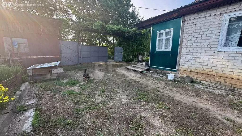 Дом в Приморский край, Анучинский муниципальный округ, село ... - Фото 0