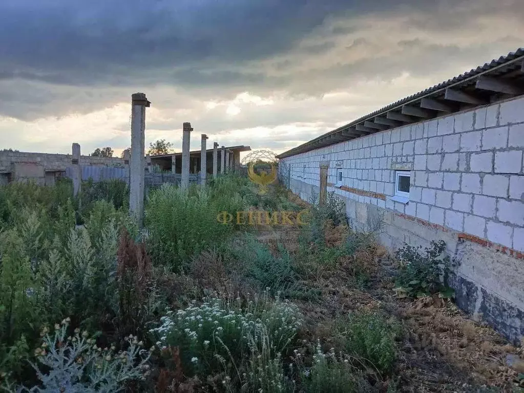 Склад в Белгородская область, Яковлевский муниципальный округ, с. ... - Фото 1