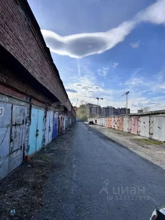 Гараж в Тюменская область, Тюмень Мало-Загородная ул., 23 (16 м) - Фото 2