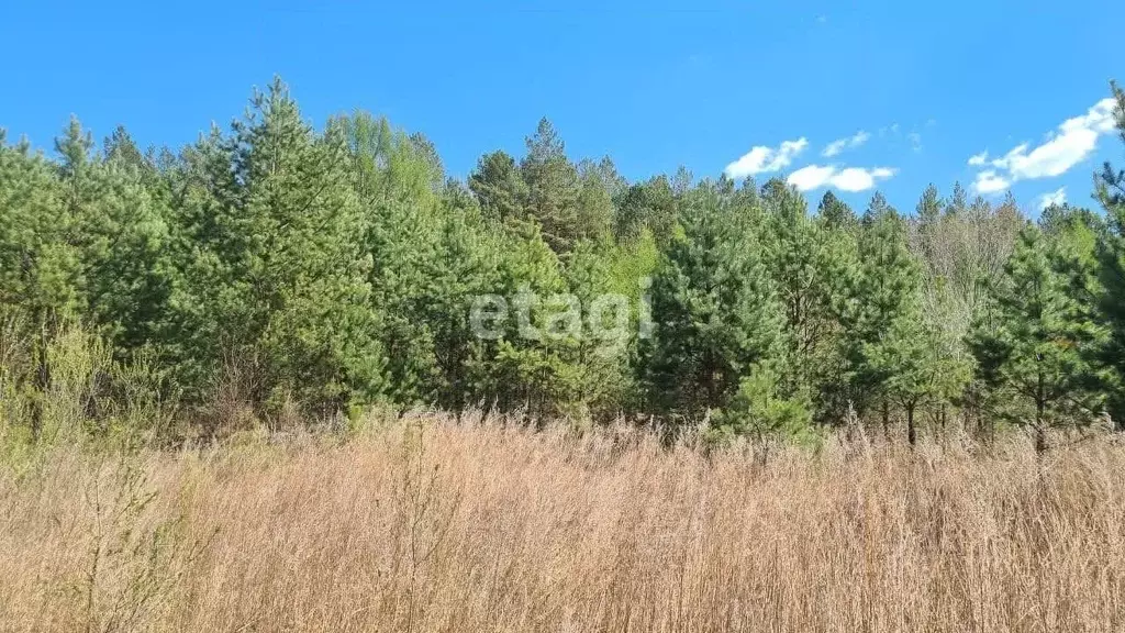 Участок в Амурская область, Благовещенск СПУ-5 кв-л,  (10.0 сот.) - Фото 1