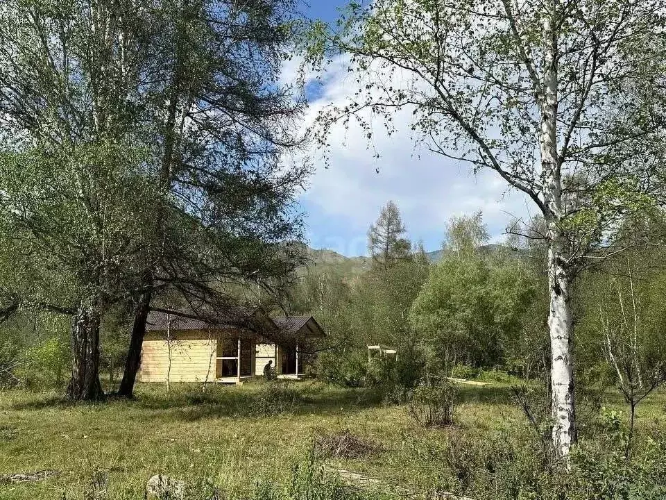 Участок в Алтай, Онгудайский район, с. Хабаровка  (28.0 сот.) - Фото 0